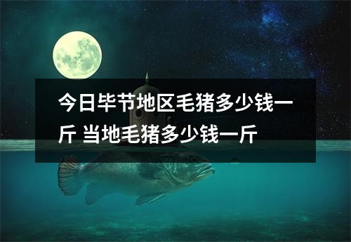 今日毕节地区毛猪多少钱一斤 当地毛猪多少钱一斤