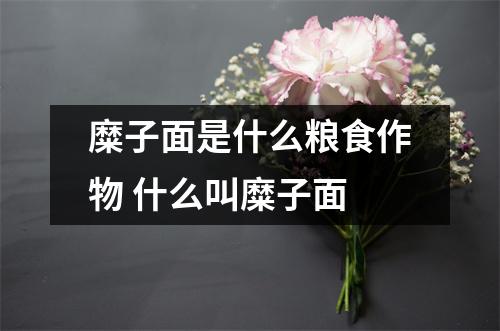 糜子面是什么粮食作物 什么叫糜子面