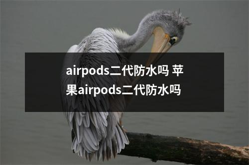 airpods二代防水吗 苹果airpods二代防水吗