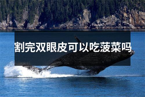 割完双眼皮可以吃菠菜吗