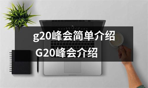 g20峰会简单介绍 G20峰会介绍