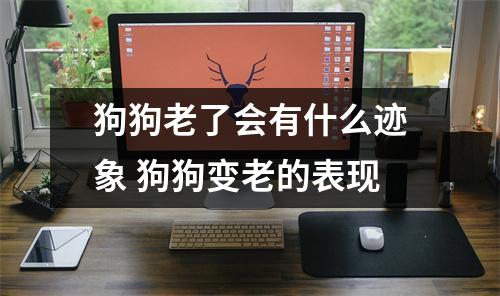 狗狗老了会有什么迹象 狗狗变老的表现 狗狗老了会有什么迹象 狗狗变老的表现