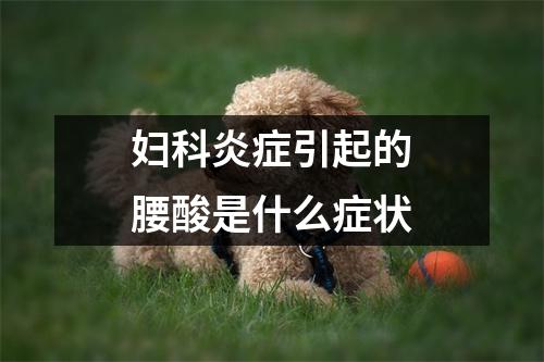 妇科炎症引起的腰酸是什么症状