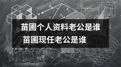 苗圃个人资料老公是谁 苗圃现任老公是谁