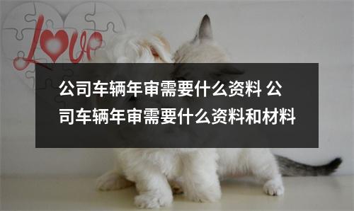 公司车辆年审需要什么资料 公司车辆年审需要什么资料和材料 公司车辆年审需要什么资料 公司车辆年审需要什么资料和材料