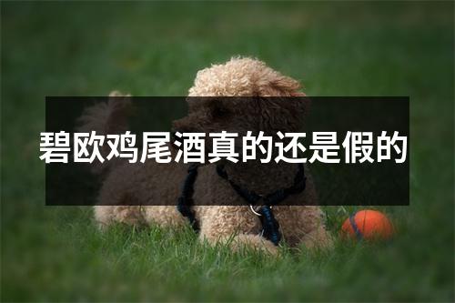 碧欧鸡尾酒真的还是假的