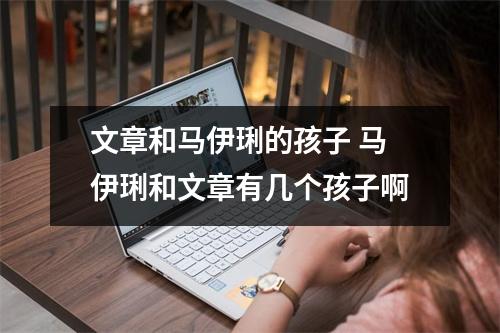文章和马伊琍的孩子 马伊琍和文章有几个孩子啊