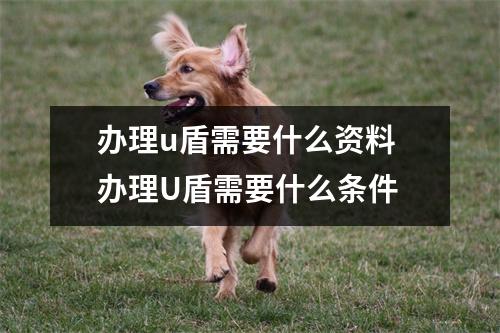 办理u盾需要什么资料 办理U盾需要什么条件