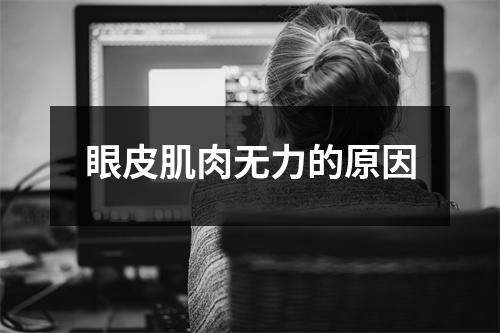 眼皮肌肉无力的原因