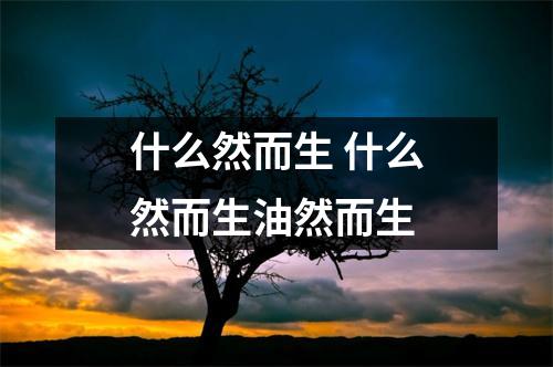 什么然而生 什么然而生油然而生