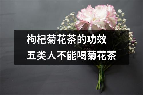 枸杞菊花茶的功效 五类人不能喝菊花茶