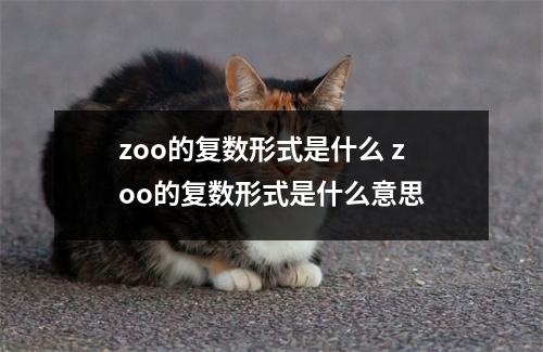 zoo的复数形式是什么 zoo的复数形式是什么意思 zoo的复数形式是什么 zoo的复数形式是什么意思