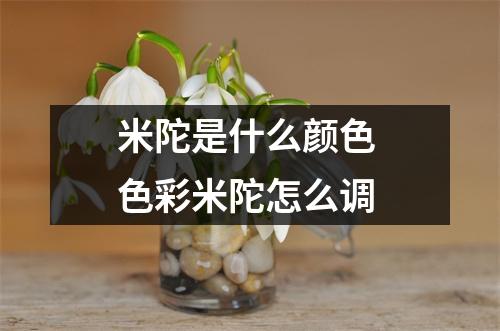 米陀是什么颜色 色彩米陀怎么调