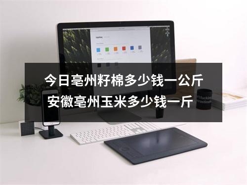 今日亳州籽棉多少钱一公斤 安徽亳州玉米多少钱一斤