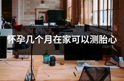 怀孕几个月在家可以测胎心