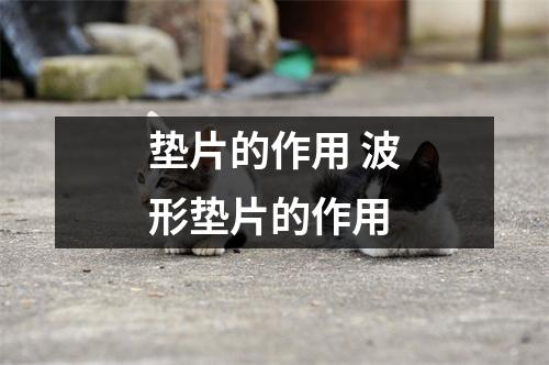 垫片的作用 波形垫片的作用