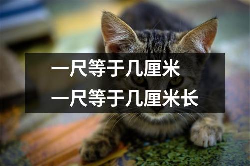 一尺等于几厘米 一尺等于几厘米长