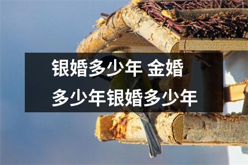 银婚多少年 金婚多少年银婚多少年