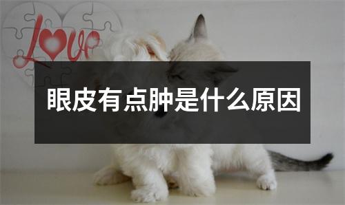 眼皮有点肿是什么原因