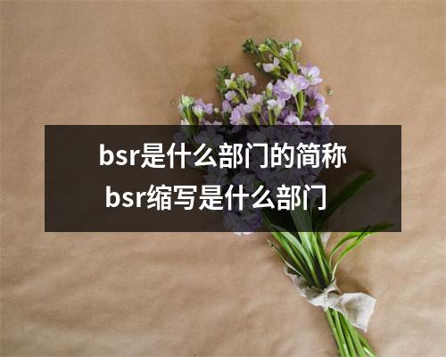 bsr是什么部门的简称 bsr缩写是什么部门