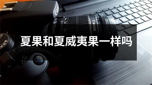 夏果和夏威夷果一样吗 夏果和夏威夷果一样吗