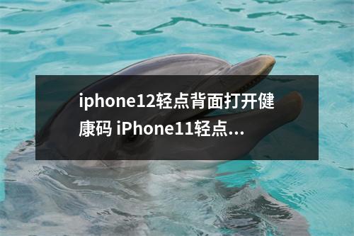 iphone12轻点背面打开健康码 iPhone11轻点背面打开健康码