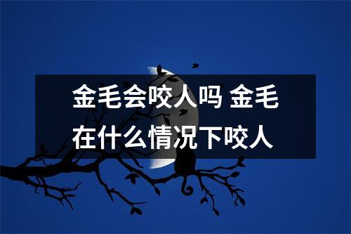 金毛会咬人吗 金毛在什么情况下咬人