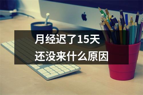月经迟了15天还没来什么原因
