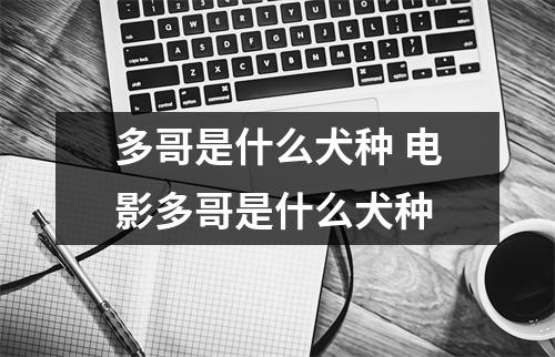 多哥是什么犬种 电影多哥是什么犬种