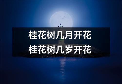 桂花树几月开花 桂花树几岁开花