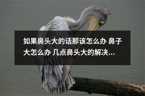 如果鼻头大的话那该怎么办 鼻子大怎么办 几点鼻头大的解决方法 