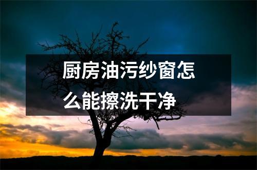 厨房油污纱窗怎么能擦洗干净