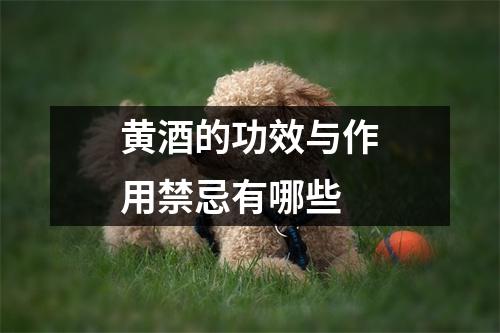 黄酒的功效与作用禁忌有哪些 黄酒的功效与作用禁忌有哪些