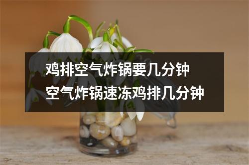 鸡排空气炸锅要几分钟 空气炸锅速冻鸡排几分钟 鸡排空气炸锅要几分钟 空气炸锅速冻鸡排几分钟