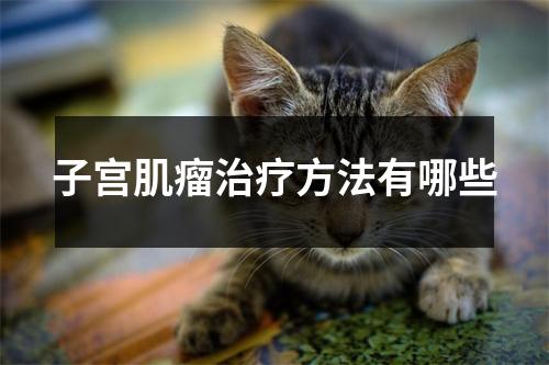子宫肌瘤治疗方法有哪些
