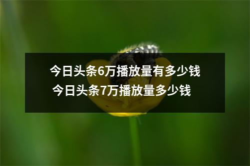 今日头条6万播放量有多少钱 今日头条7万播放量多少钱