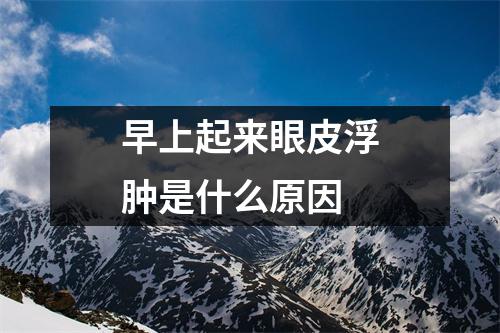 早上起来眼皮浮肿是什么原因