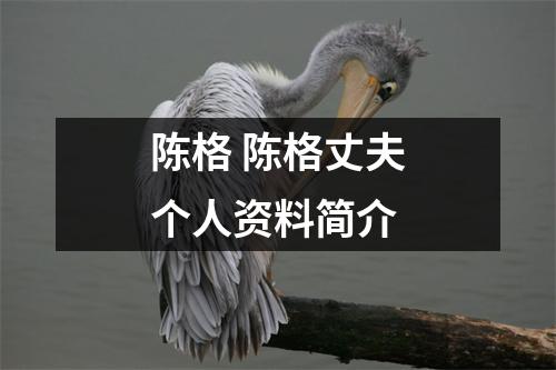 陈格 陈格丈夫个人资料简介