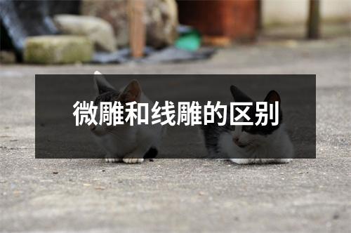 微雕和线雕的区别