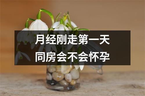 月经刚走第一天同房会不会怀孕