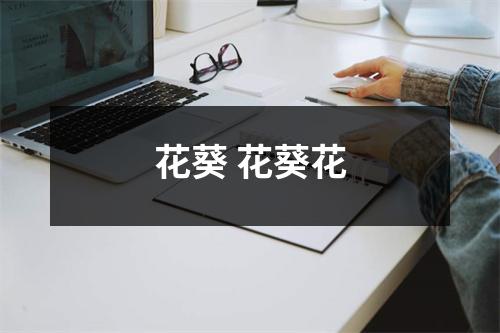 花葵 花葵花