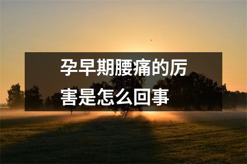 孕早期腰痛的厉害是怎么回事