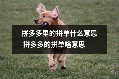 拼多多里的拼单什么意思 拼多多的拼单啥意思 