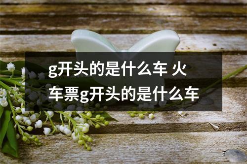 g开头的是什么车 火车票g开头的是什么车