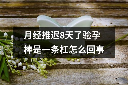 月经推迟8天了验孕棒是一条杠怎么回事