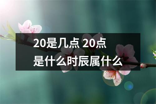 20是几点 20点是什么时辰属什么 20是几点 20点是什么时辰属什么