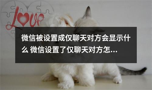 微信被设置成仅聊天对方会显示什么 微信设置了仅聊天对方怎么显示的 微信被设置成仅聊天对方会显示什么 微信设置了仅聊天对方怎么显示的