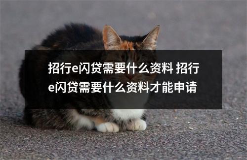 招行e闪贷需要什么资料 招行e闪贷需要什么资料才能申请