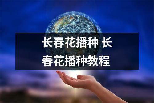 长春花播种 长春花播种教程