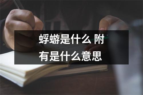 蜉蝣是什么 附有是什么意思 蜉蝣是什么 附有是什么意思